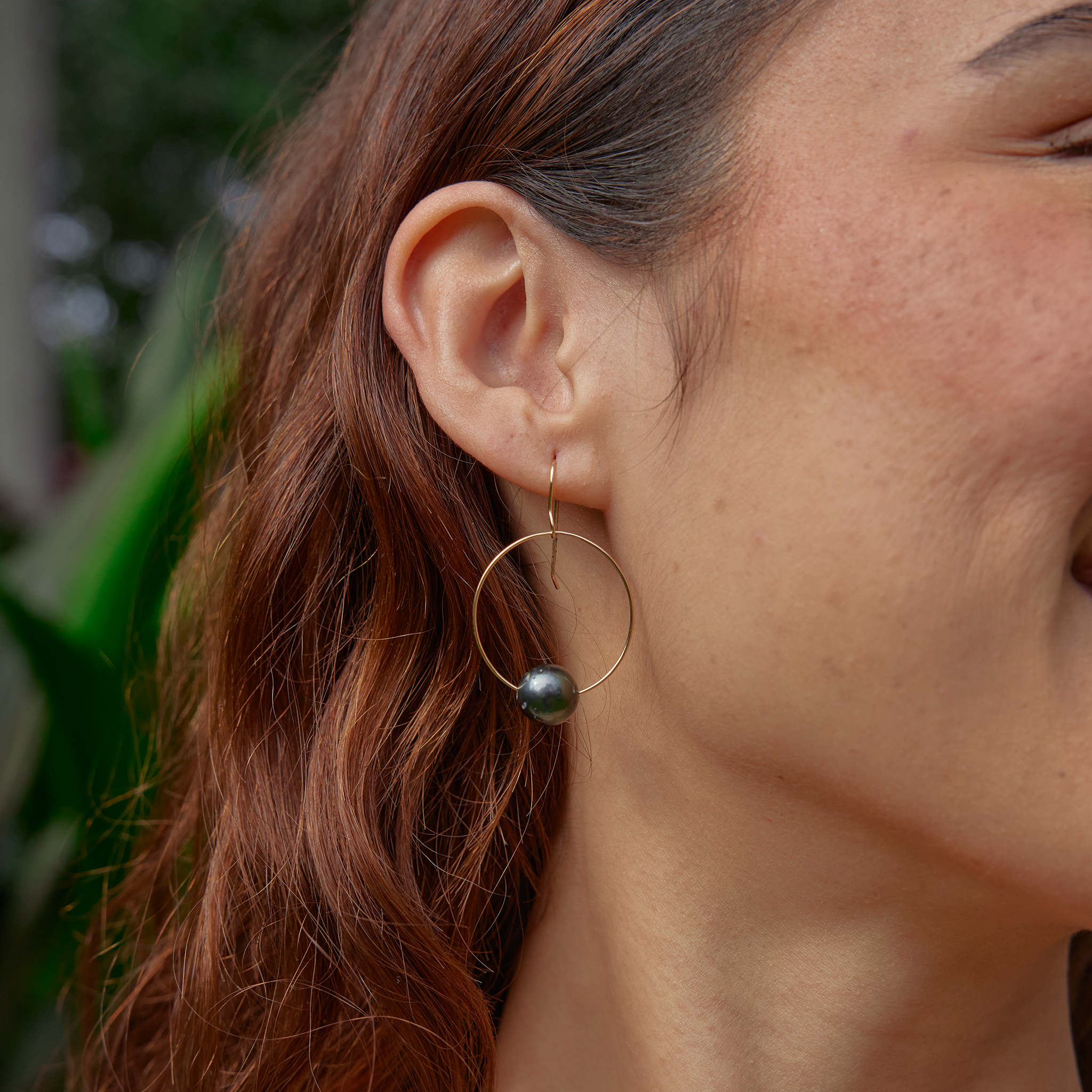 Tahitian Black Pearl Hoop Earrings in Gold - 9-10mm