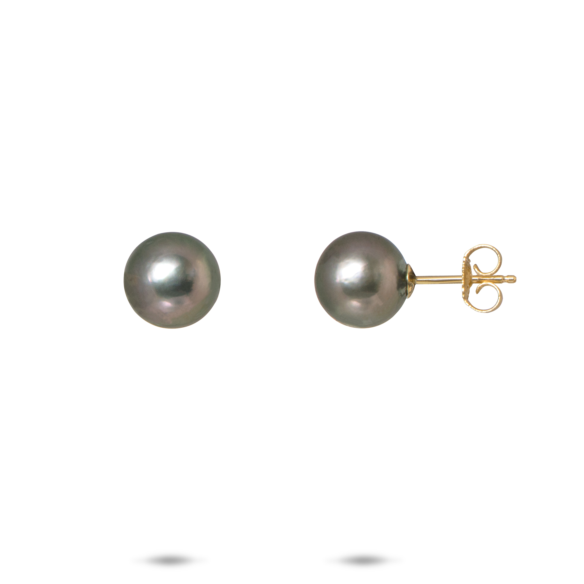 Schwarze Tahiti-Perlenohrringe in Gold - 8-9 mm