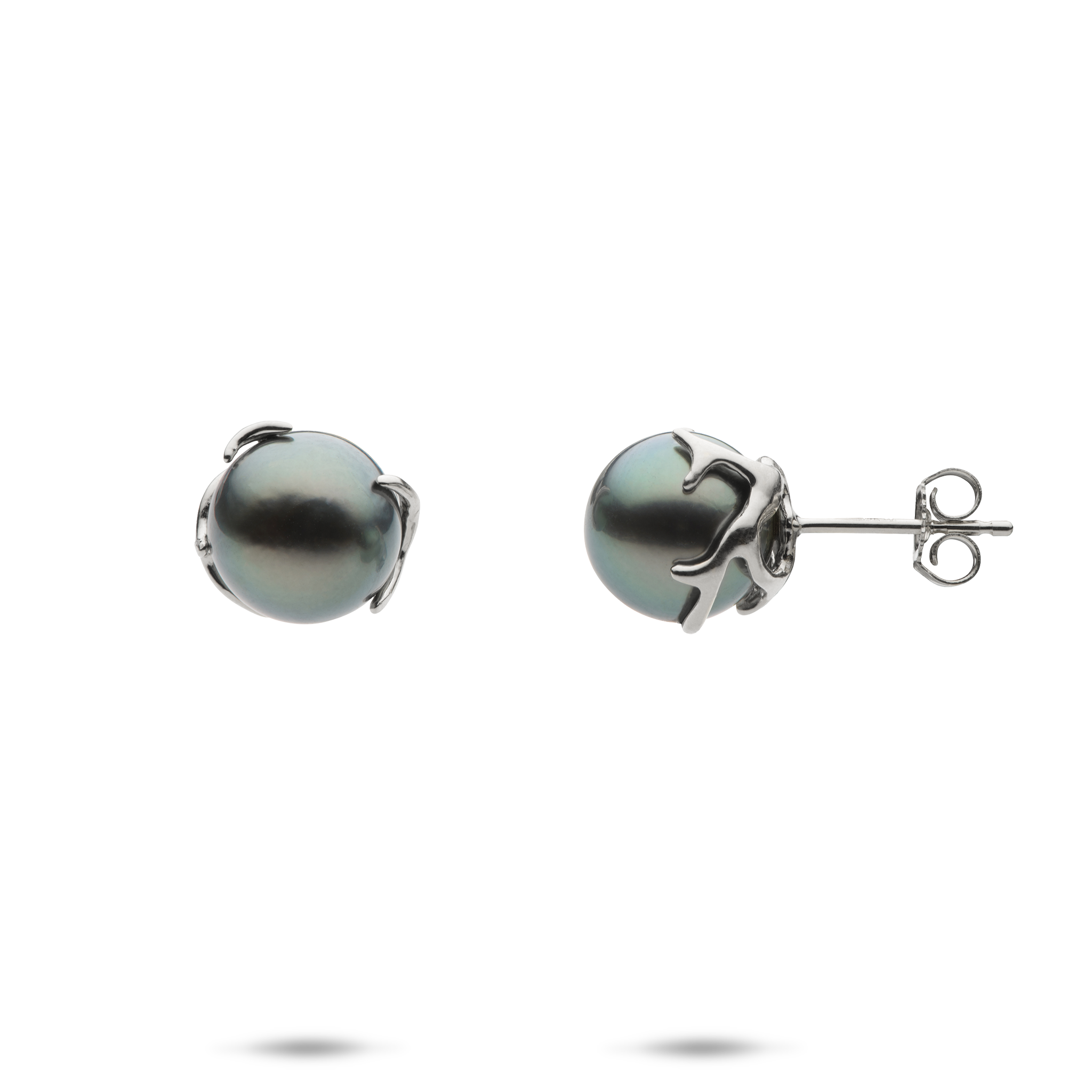 Traditionelle schwarze Tahiti-Perlenohrringe in Weißgold – 9–10 mm