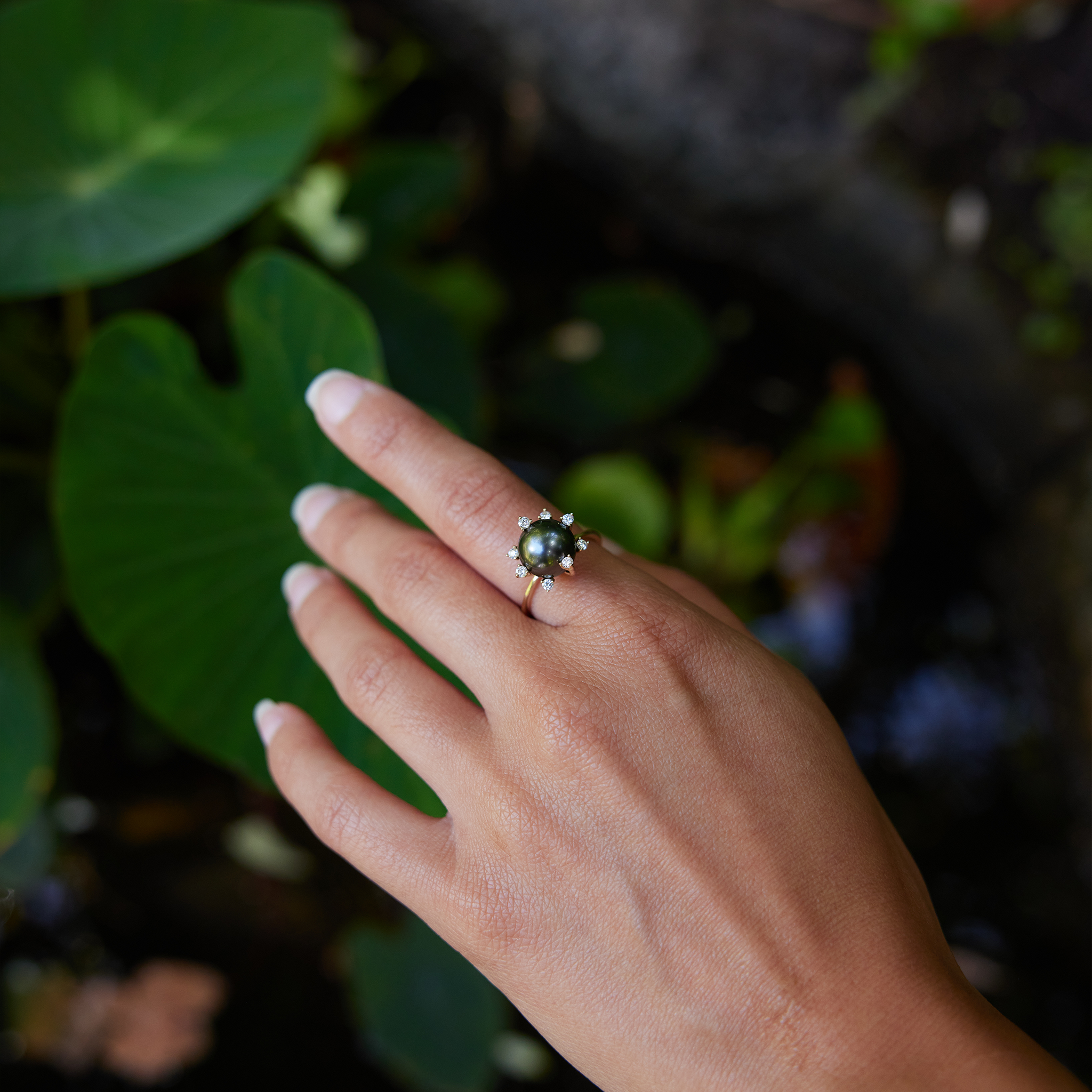 Protea Tahitian Black Pearl Ring in Gold with Diamonds - 10-11mm