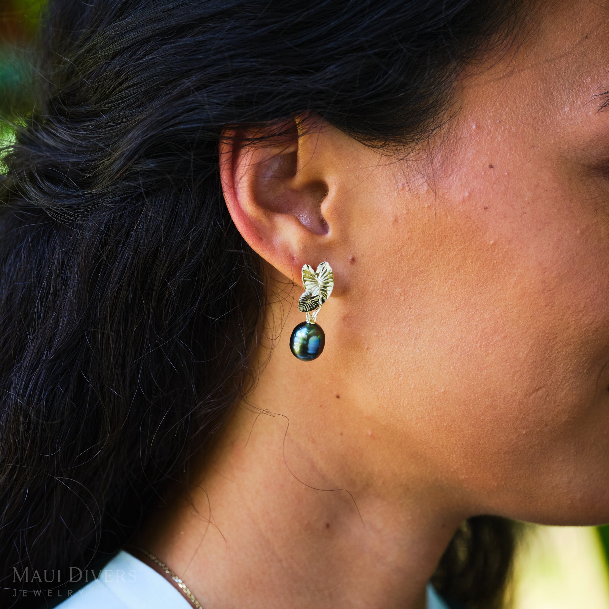 Kalo Tahitian Black Pearl Earrings in Gold - 10-12mm