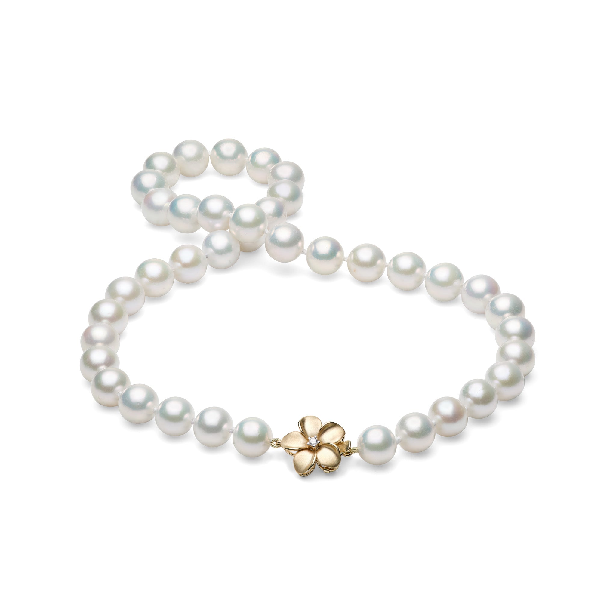 Graduated 10-11.9mm White Freshwater Pearl Strand with a Satin finished 14k yellow gold diamond plumeria clasp on a white background