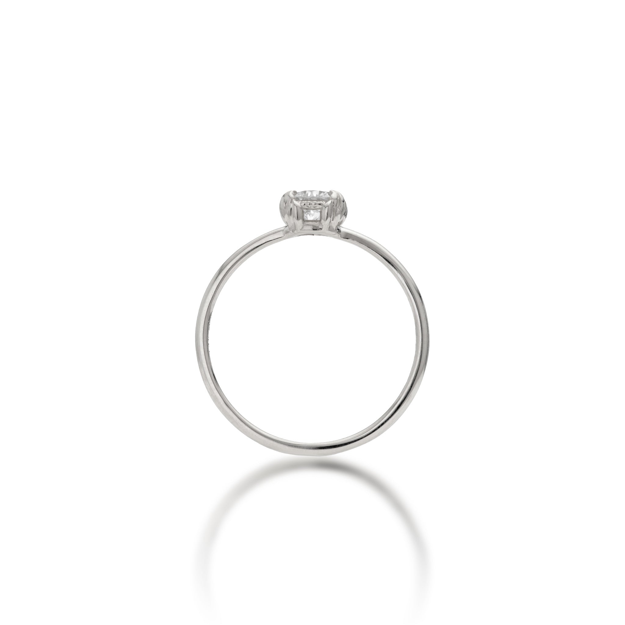 Band View of the Hidden Hawaiʻi Maile Leaf 0.35-Carat Lab-Grown Diamond Ring in 14k White Gold on a white background