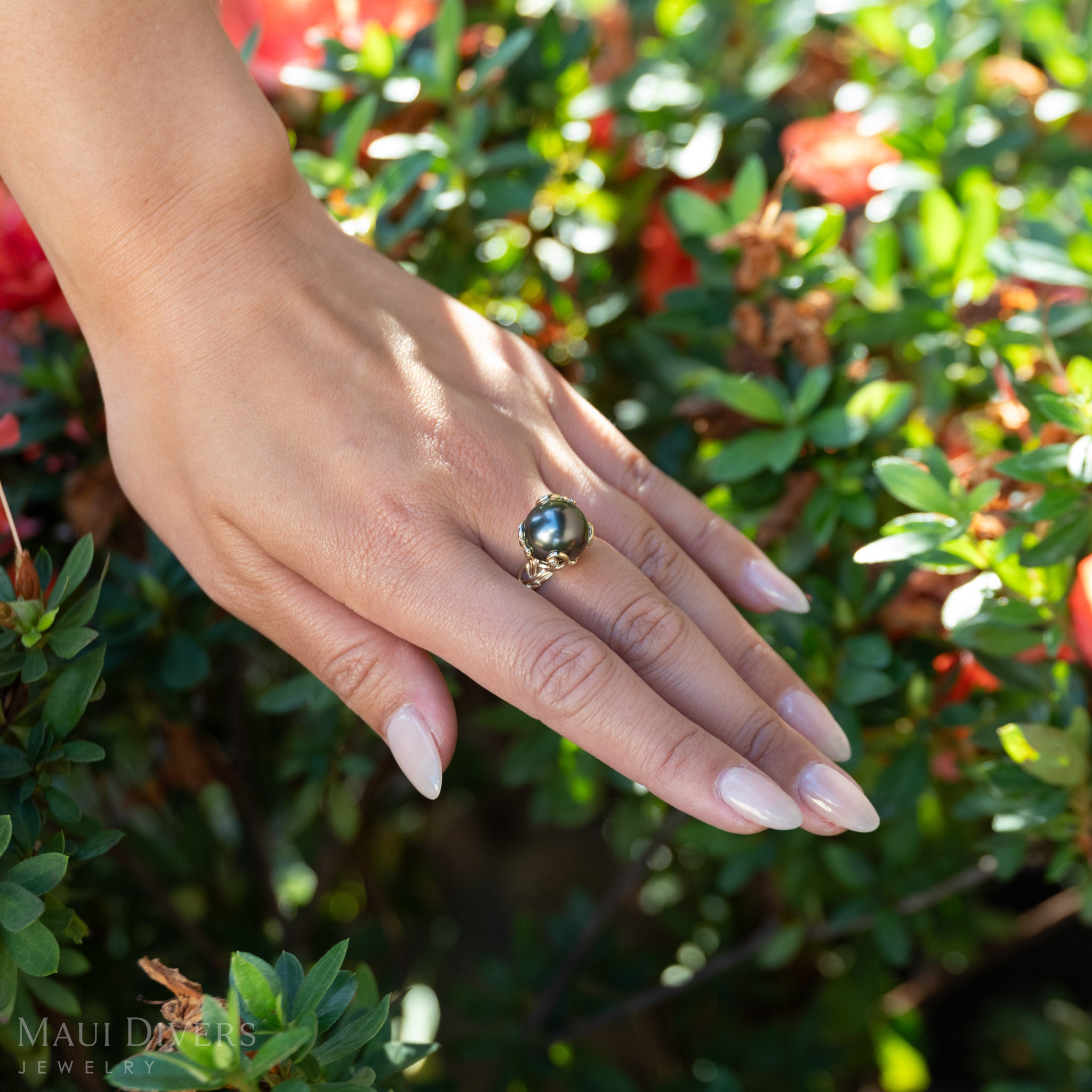 Hand wearing a gold Tahitian black pearl ring against a green leafy background