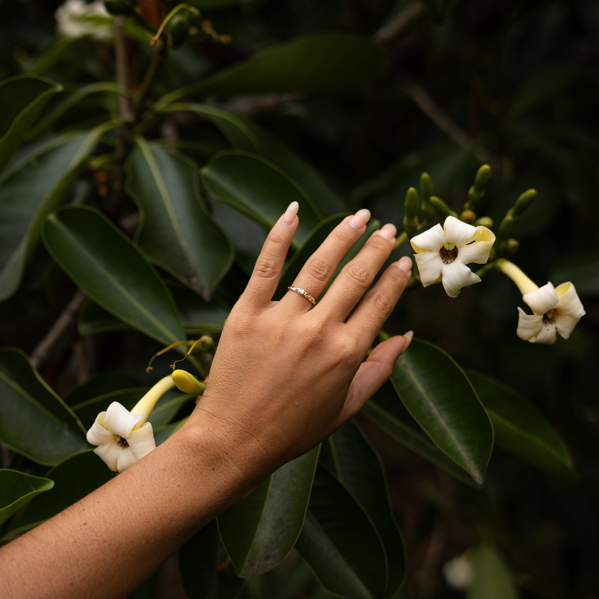 Living Heirloom-Ring in Gold mit Diamant – 3 mm