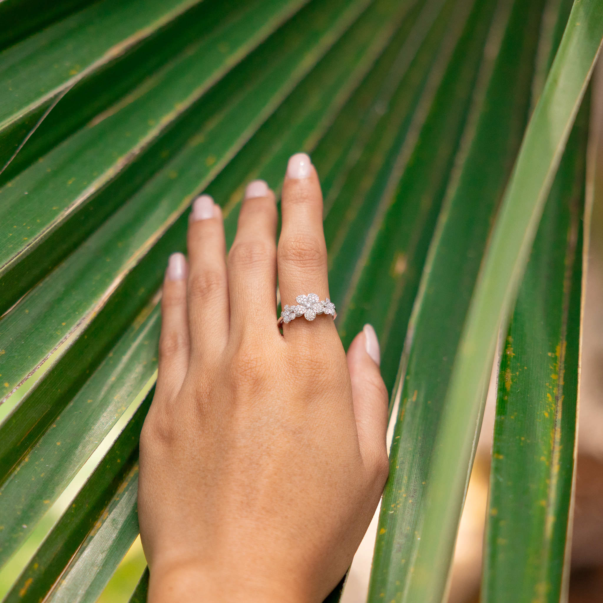 10mm Three Plumeria Ring in White Gold with Diamonds on a hand against a palm leaf