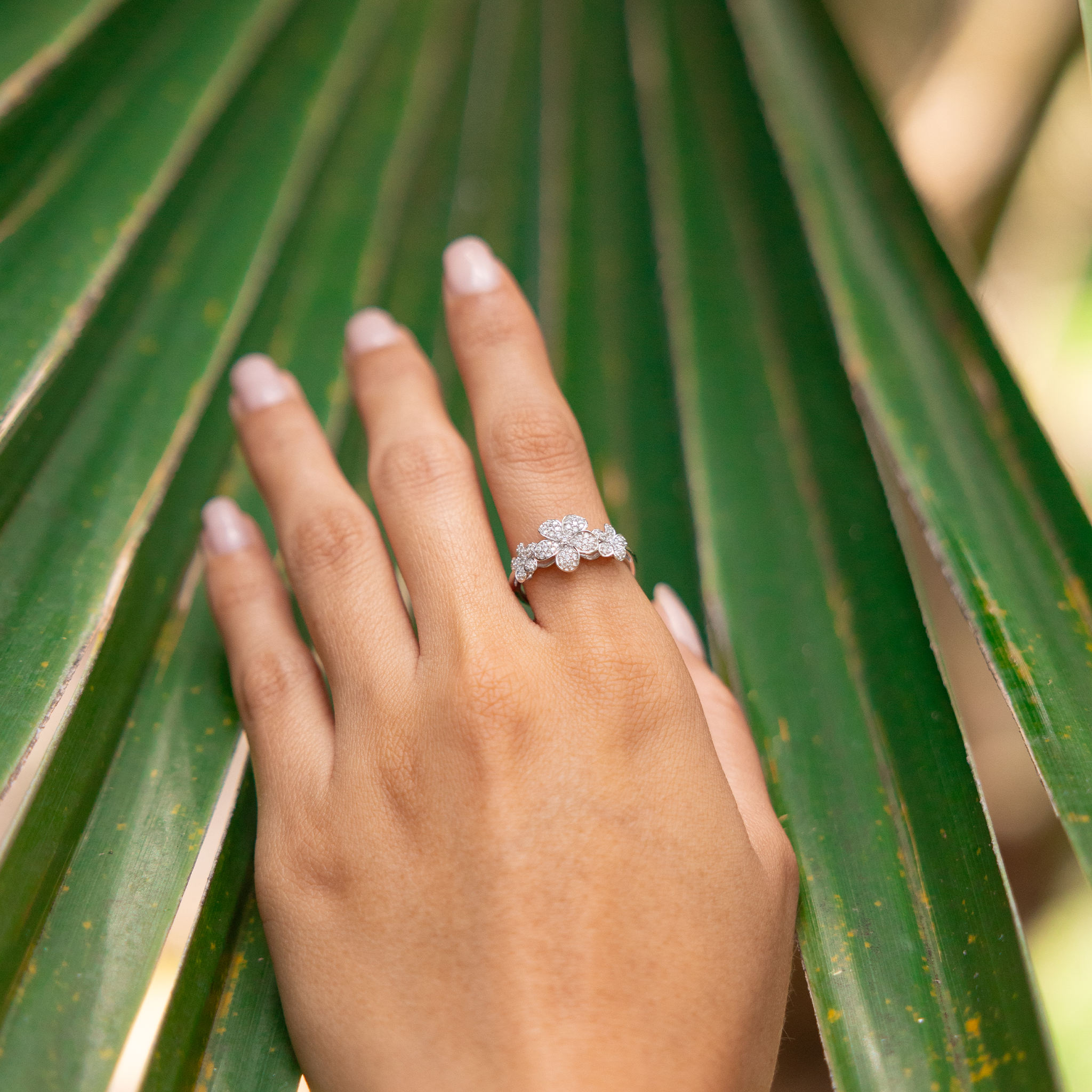 10mm Three Plumeria Ring in White Gold with Diamonds on a hand against a palm leaf