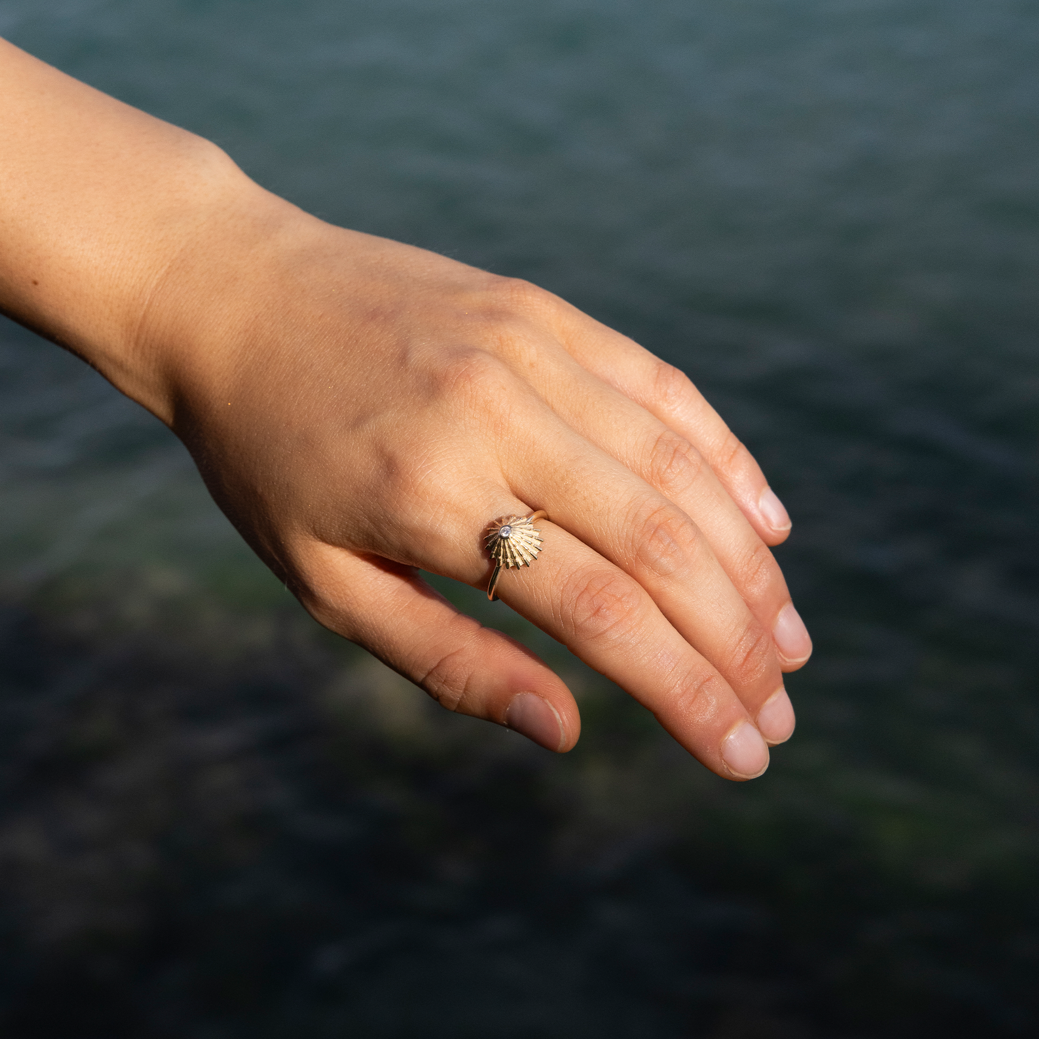 12mm ʻOpihi Ring in Gold with Diamond on a hand held over water