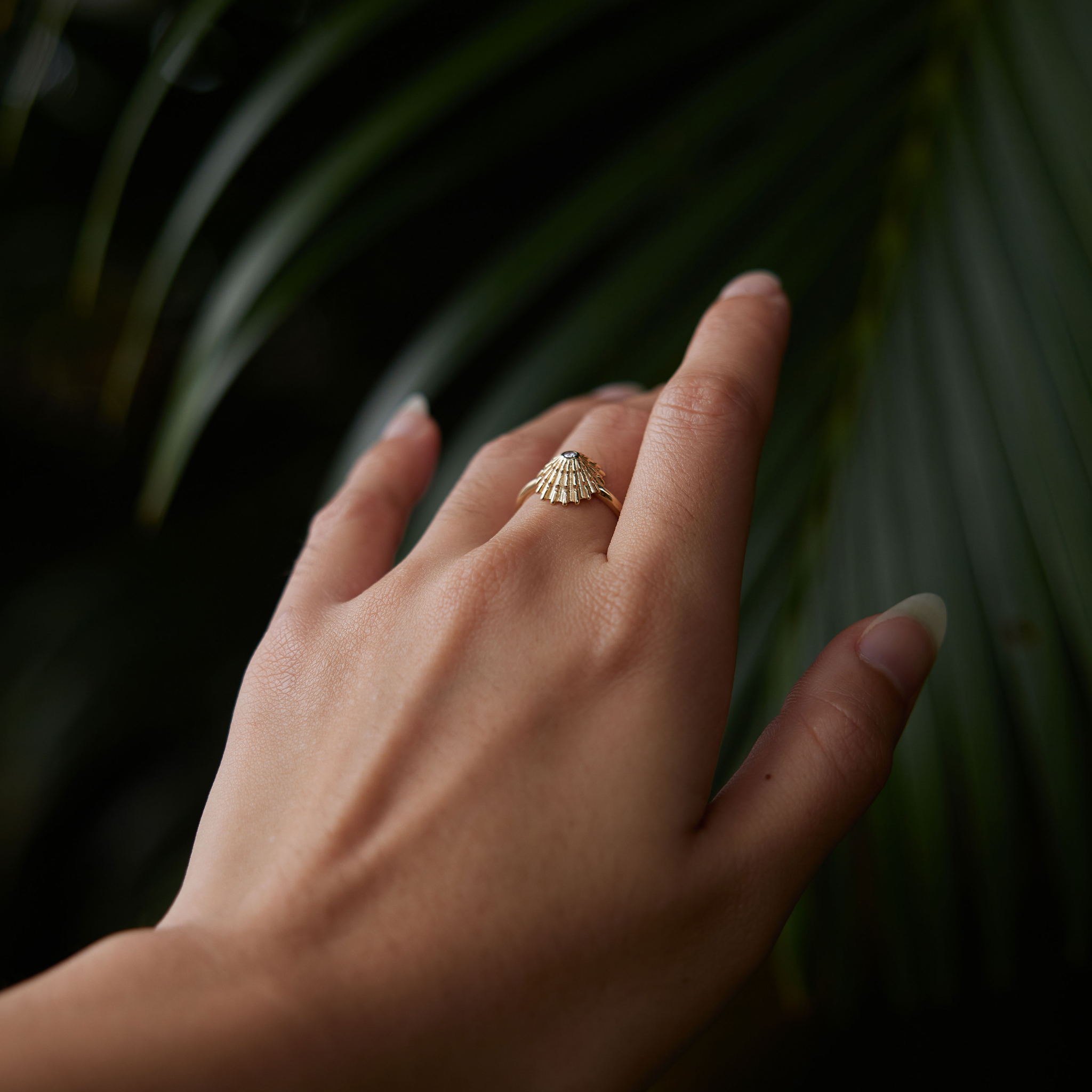 Close up of 12mm ʻOpihi Ring in Gold with Diamond on hand against dark green palm leaves
