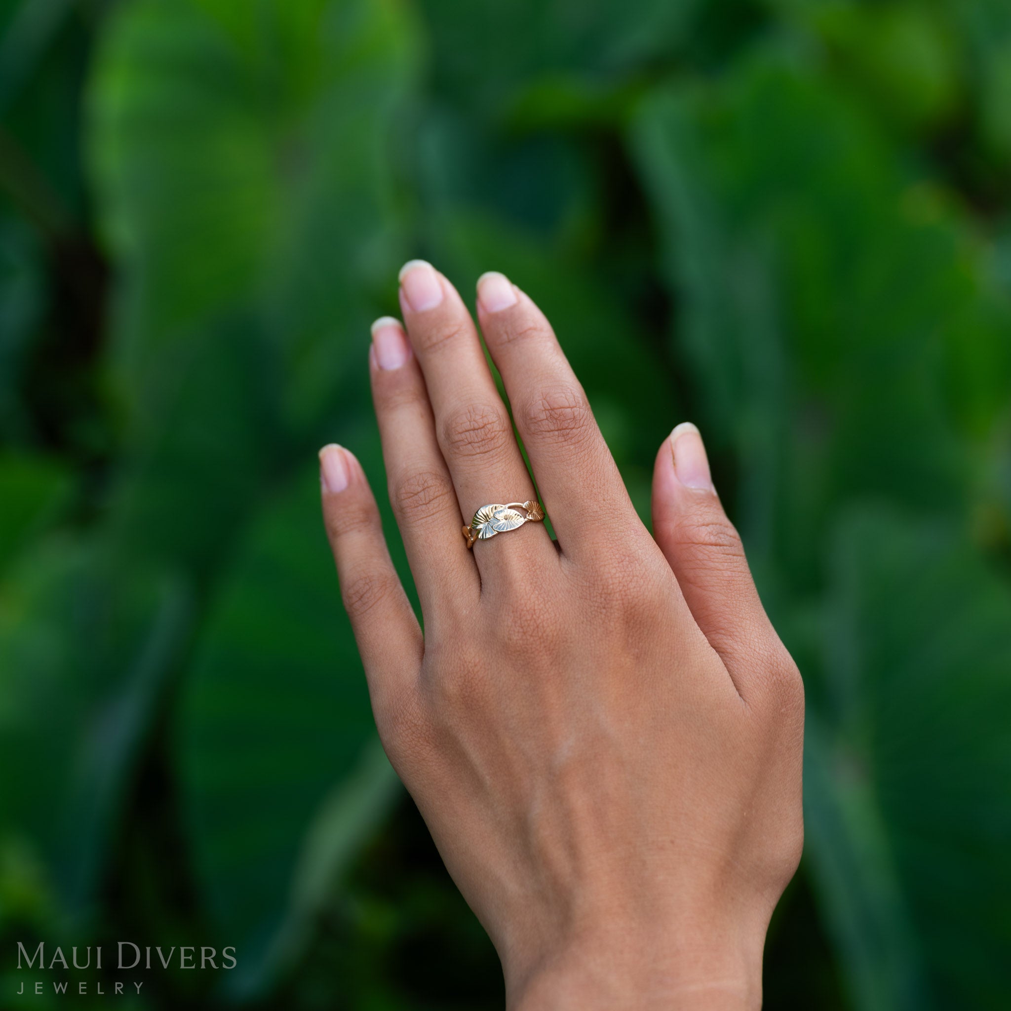 Kalo Ring in Gold - 8mm