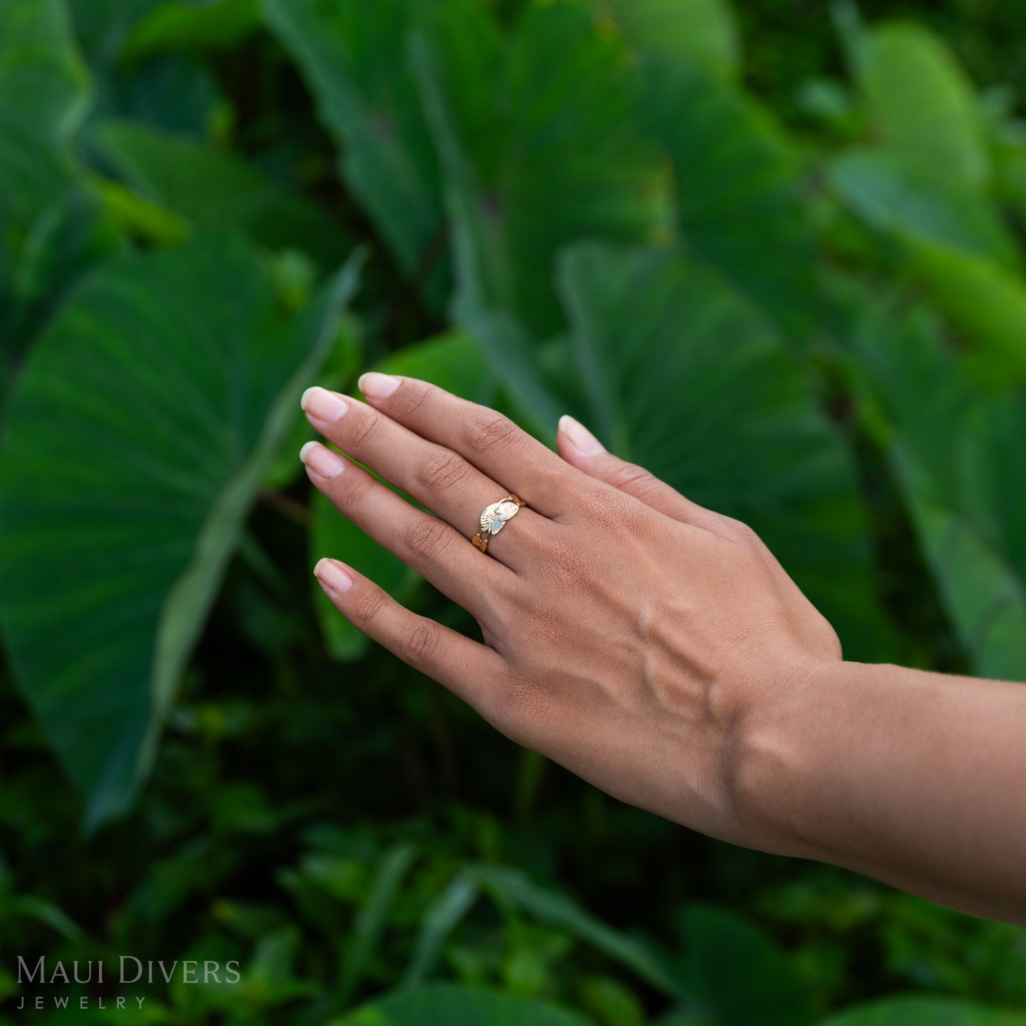 Kalo Ring in Gold - 8mm