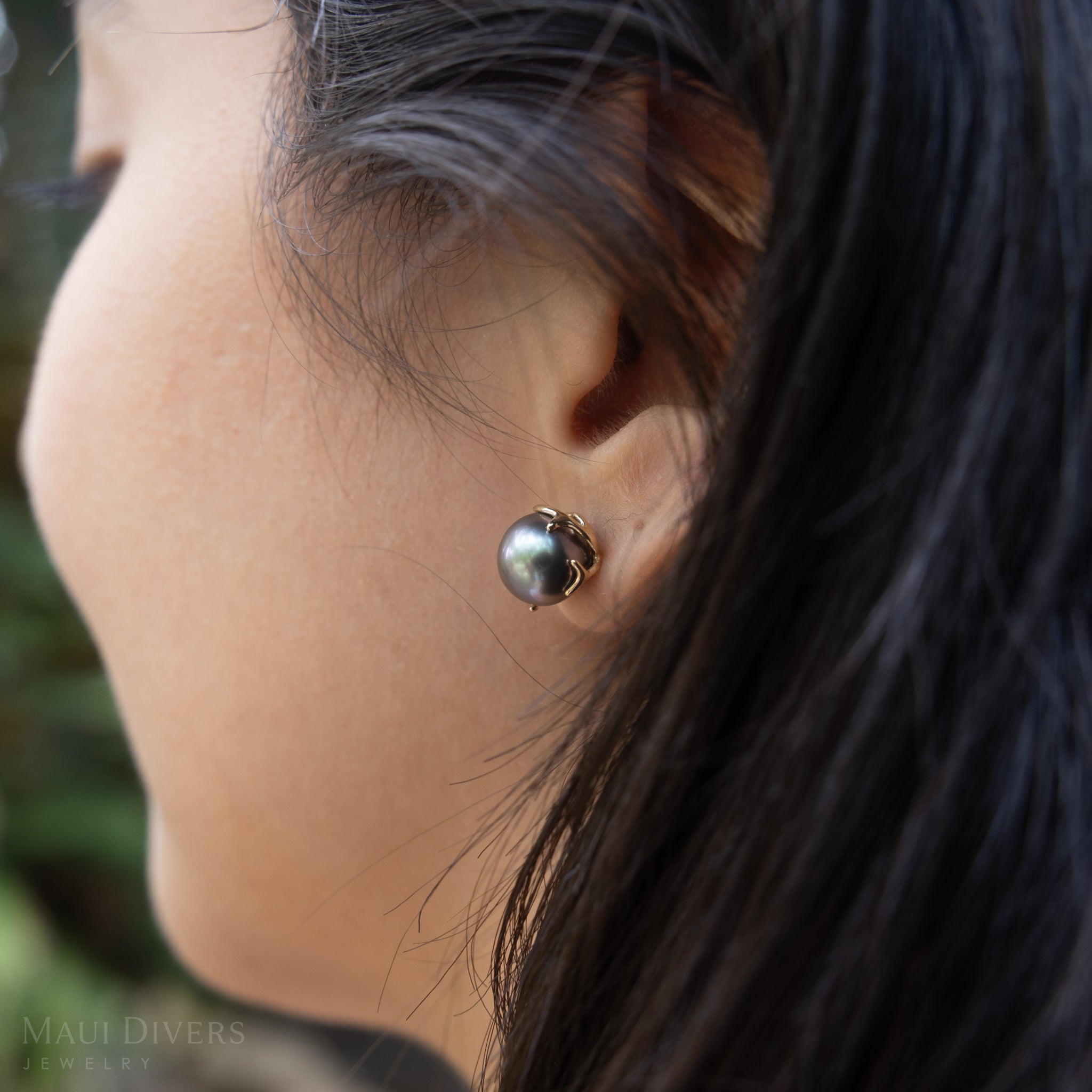 Heritage Tahitian Pearl Earrings in Gold - 9-10mm
