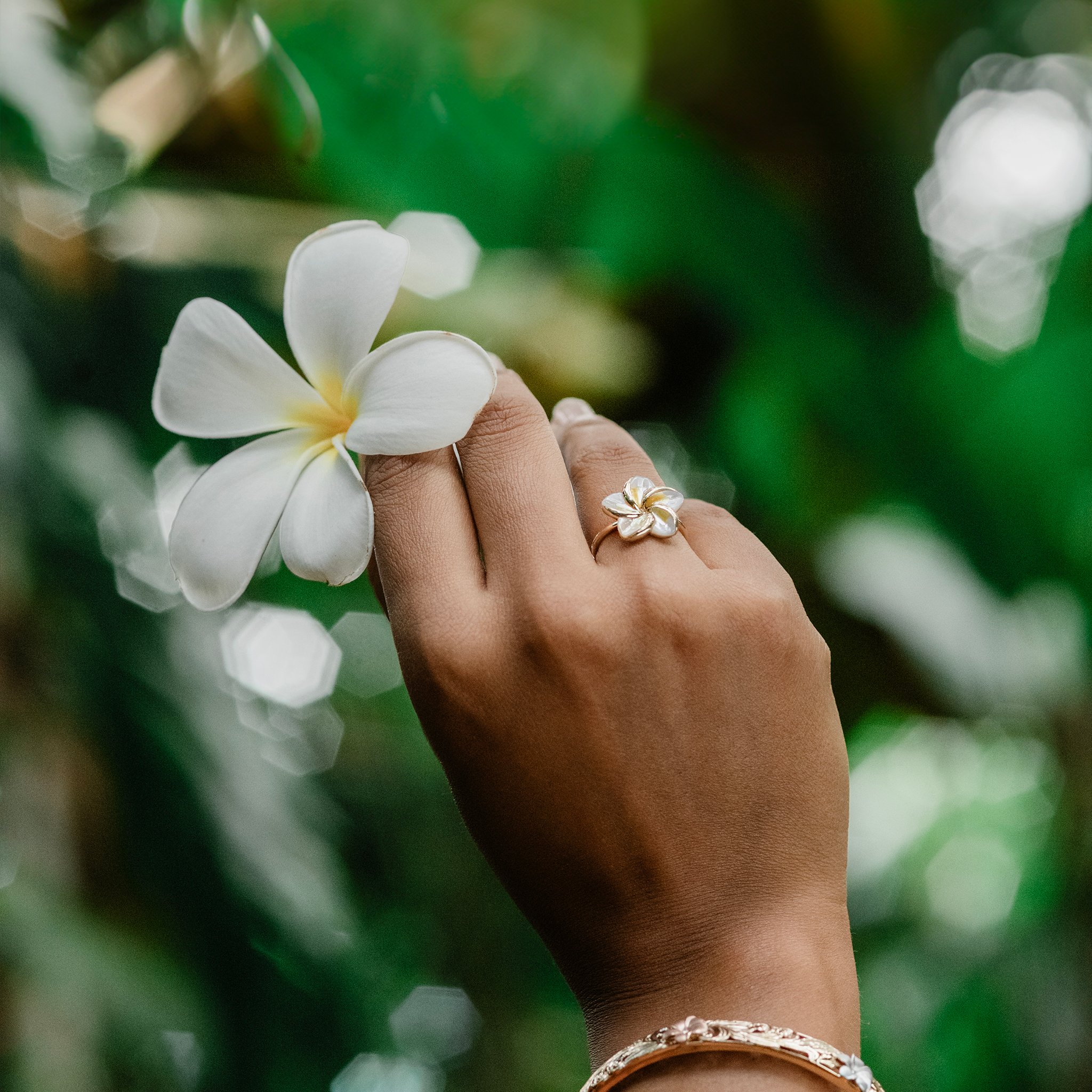 GoldのPearl Ringのプルメリア母 - 16mm