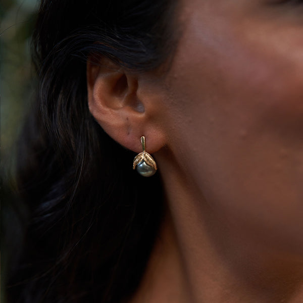 Maile Tahitian Black Pearl Earrings in Gold - 9-10mm