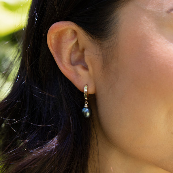 Close of up Tahitian Black Pearl Earrings in Gold - 9-10mm worn on ear