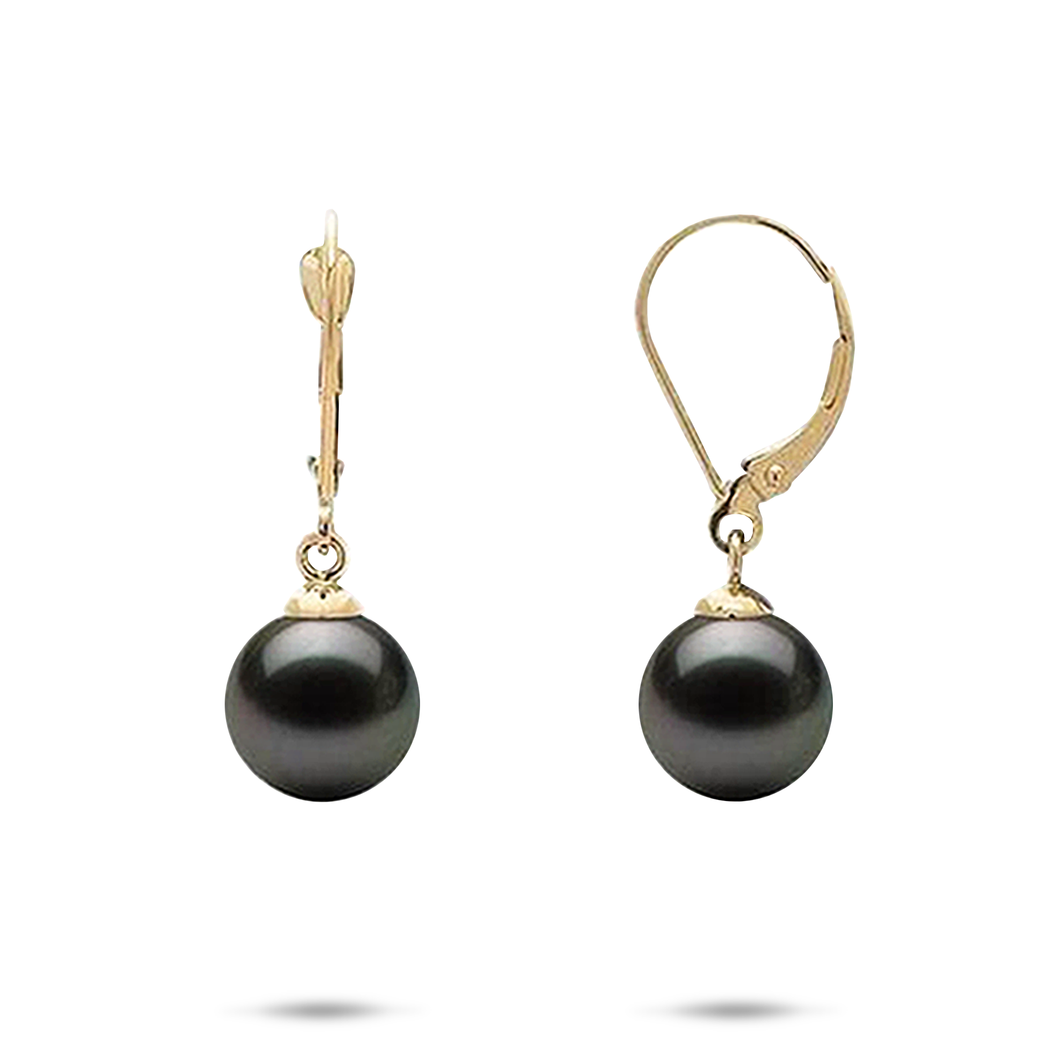 Schwarze Tahiti-Perlenohrringe in Gold - 9-10 mm