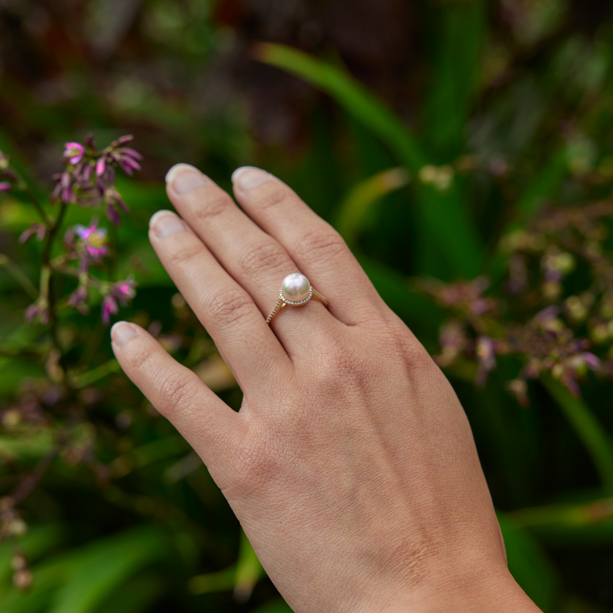 Akoya Pearl Ring in Gold with Diamonds - 8-8.5mm