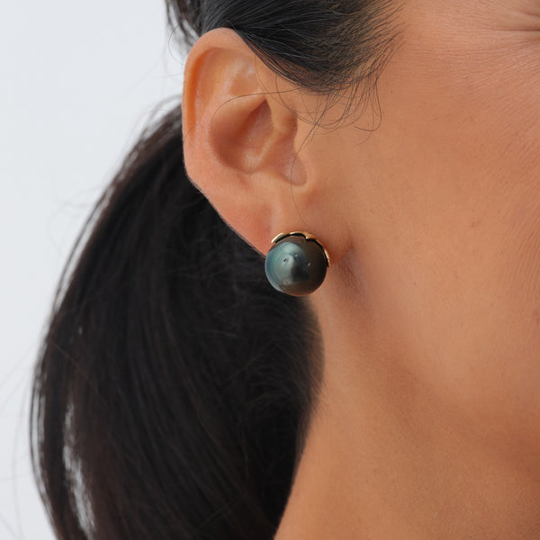 Hawaiian Heirloom Tahitian Black Pearl Earrings in Gold  - 13-14mm