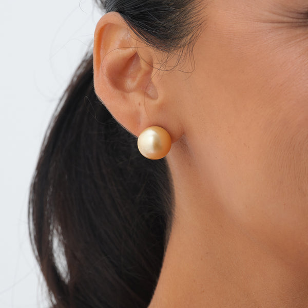 South Sea gold Pearl Earrings in Gold - Maui Divers Jewelry