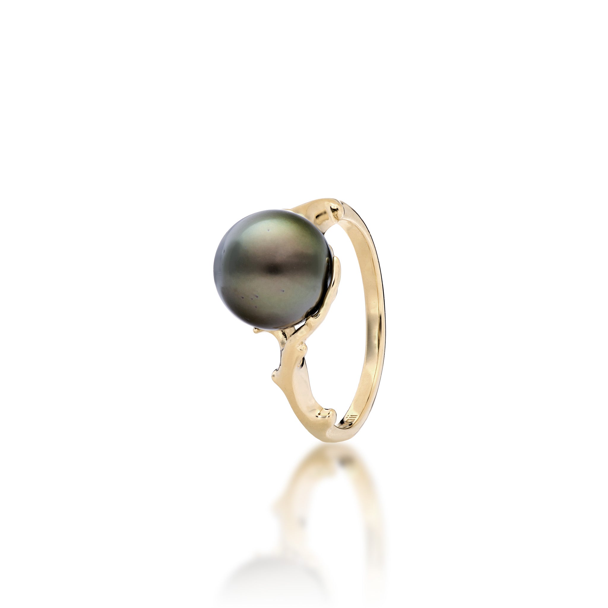Angle view of a 14k Yellow Gold Ring with a Hawaiian black coral branch-inspired design and a Tahitian black pearl on a white background