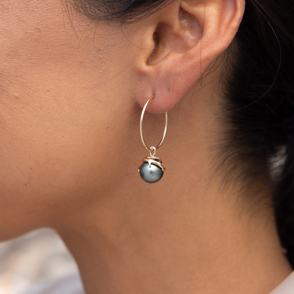 Heritage Tahitian Black Pearl earrings in Gold -9-10mm