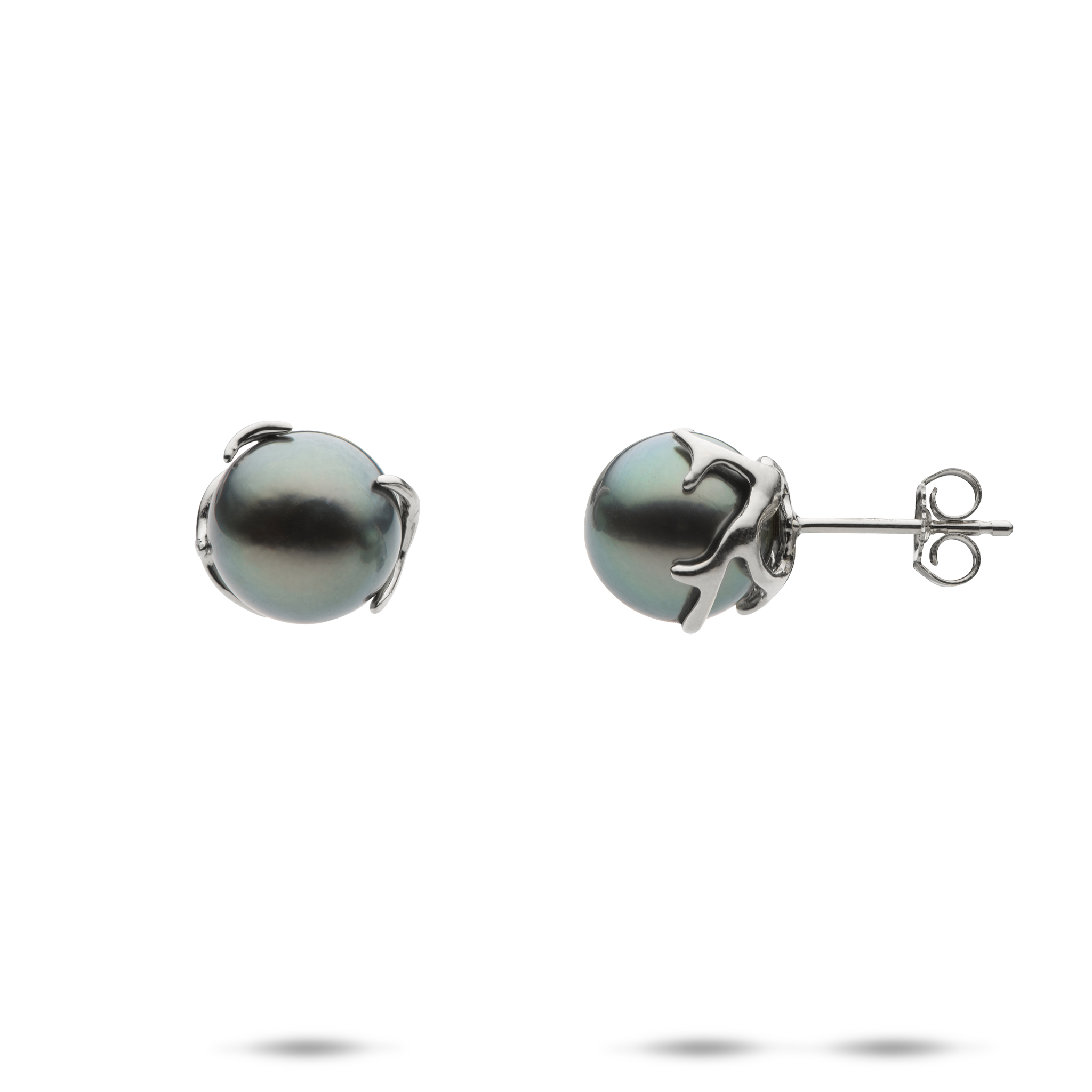 Heritage Tahitian Black Pearl Earrings in White Gold - 9-10mm