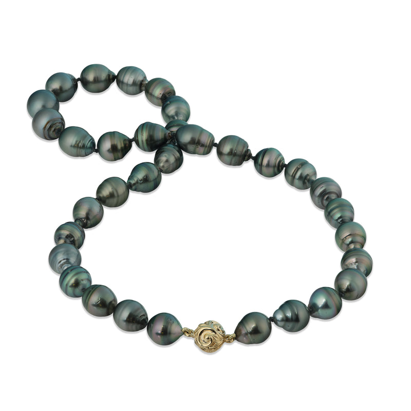 18-19" Tahitian Black Pearl Strand with Gold Clasp - 10-12mm