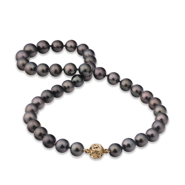 18-19" Tahitian Black Pearl Strand with Magnetic Gold Clasp - 8-13mm