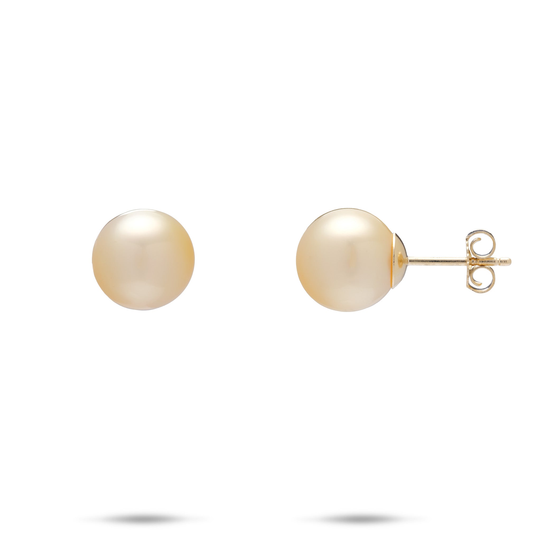South Sea Gold Pearl Earrings in Gold - 9-10mm