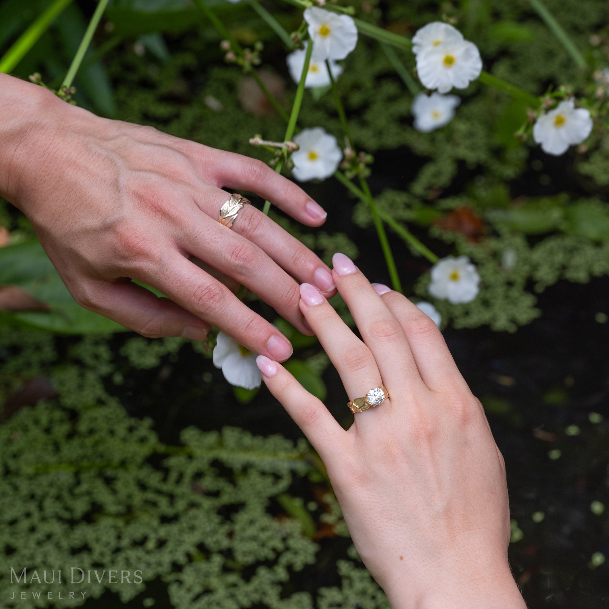 Two hands gently touching, each wearing a solitaire lab-grown diamond maile leaf ring in 14k yellow gold, and the other hand wearing a maile leaf ring in 14k yellow gold, set against a background of green aquatic plants and white flowers. 