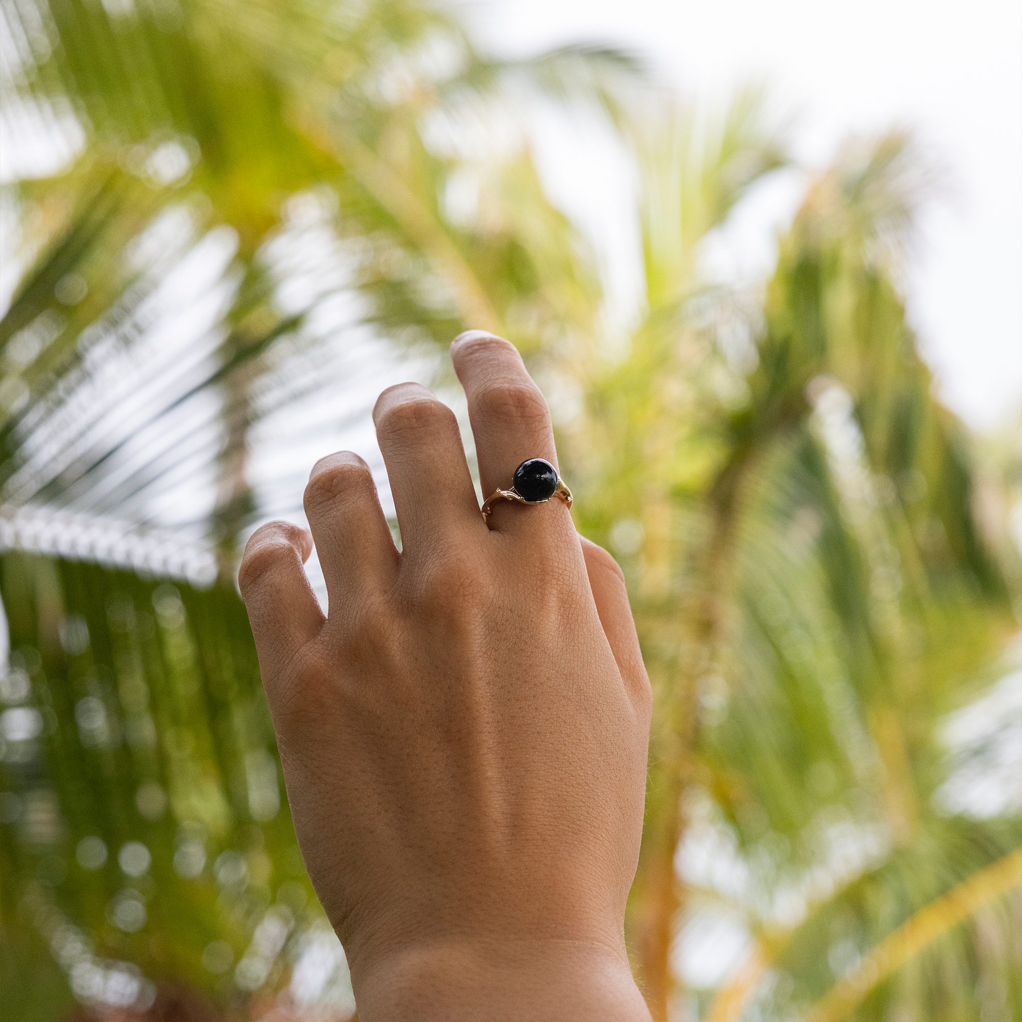 Heritage Black Coral Ring in Gold