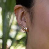 Hammerhead Shark Climber Earrings in Gold - 26mm