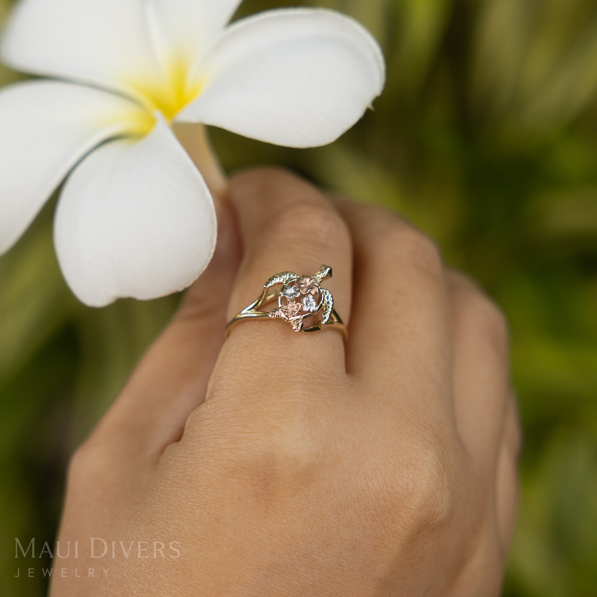 A close-up of a hand holding a white plumeria flower wearing a Plumeria Honu Ring in Tri Color Gold, against a blurred leafy green background