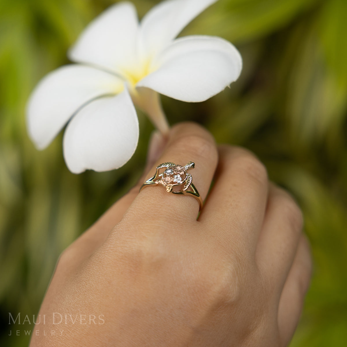 An angled close-up of a hand holding a white plumeria flower wearing a Plumeria Honu Ring in Tri Color Gold, against a blurred leafy green background