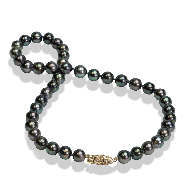 18-19" Tahitian Black Pearl Strand with Gold Clasp - 8-10mm