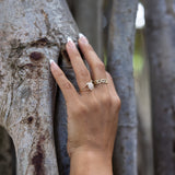 A woman's hand wearing a Honu Ring in Gold with Diamonds - 13mm-Maui Divers Jewelry
