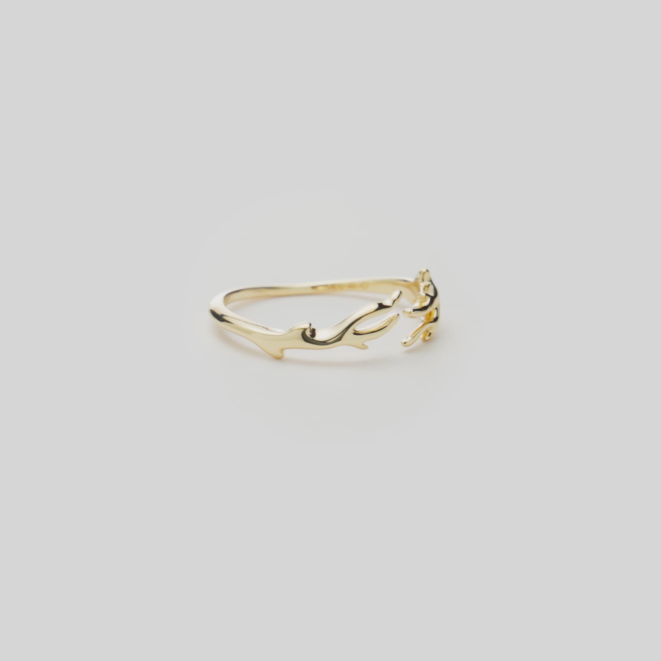 Video showcasing the Heritage Ring in 14k Yellow Gold