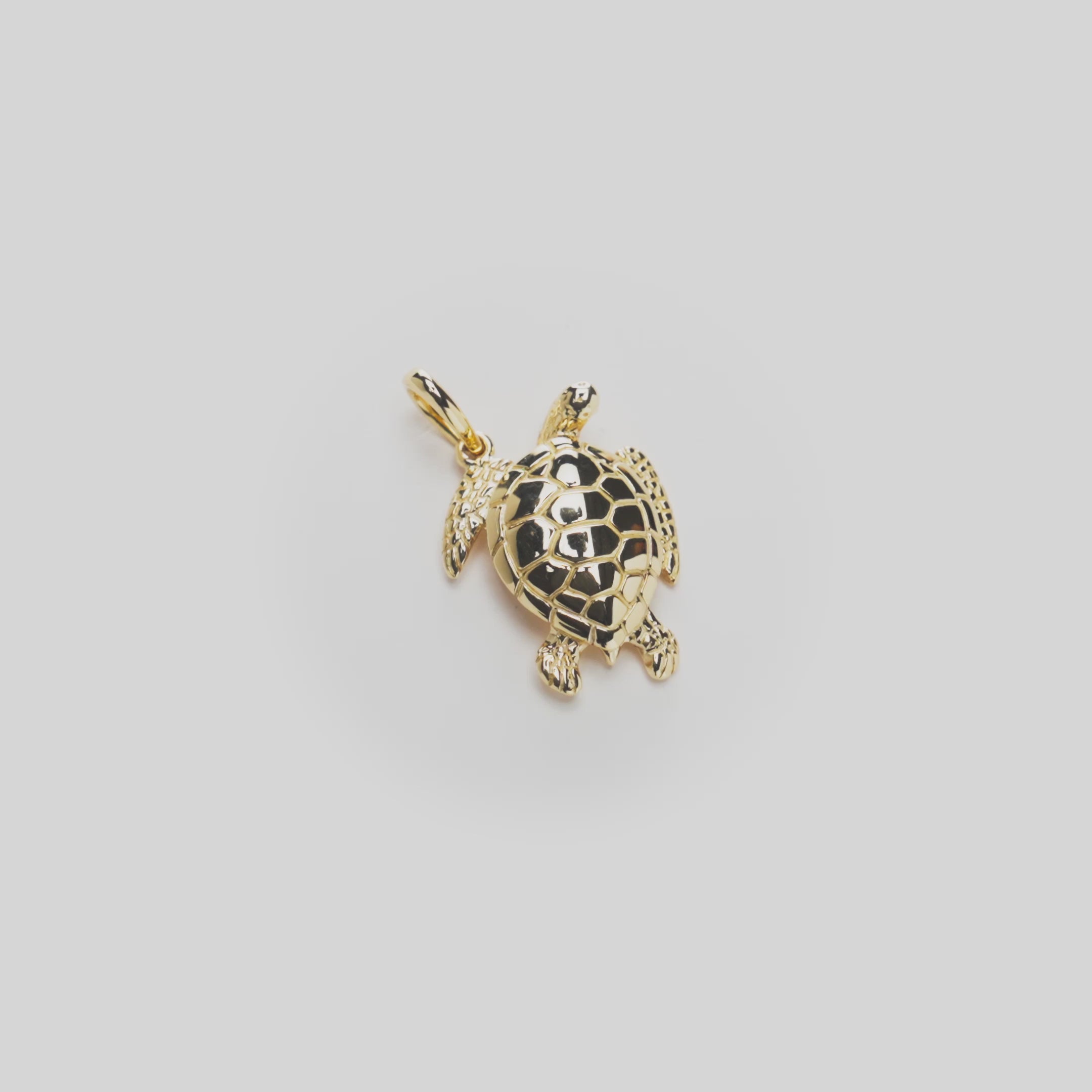 Video showing details of gold turtle pendant on white turn table