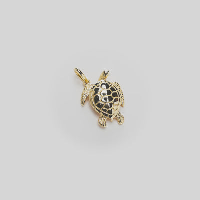 Video showing details of gold turtle pendant on white turn table