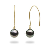 Tahitian Black Pearl Earrings in Gold-Maui Divers Jewelry