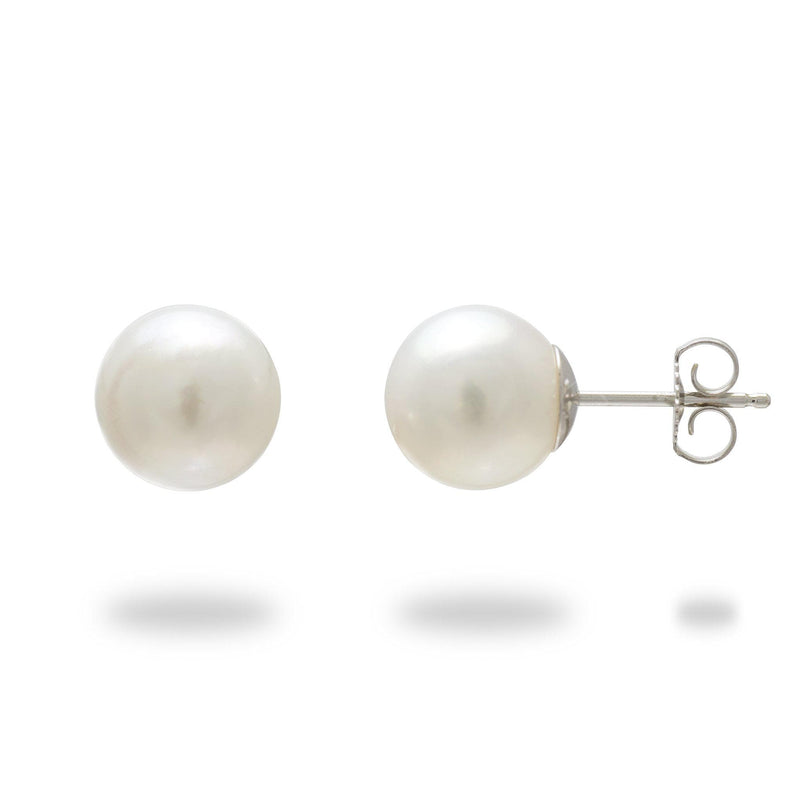 South Sea White Pearl Earrings in White Gold-Maui Divers Jewelry