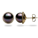 Tahitian Black Pearl Earrings in Gold (10-11mm)-Maui Divers Jewelry