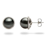 Tahitian Black Pearl Earrings in 14K White Gold (10-11mm) 006-14764-Maui Divers Jewelry