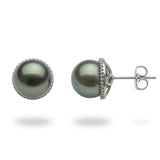 Tahitian Black Pearl Earrings in White Gold with Diamonds-Maui Divers Jewelry
