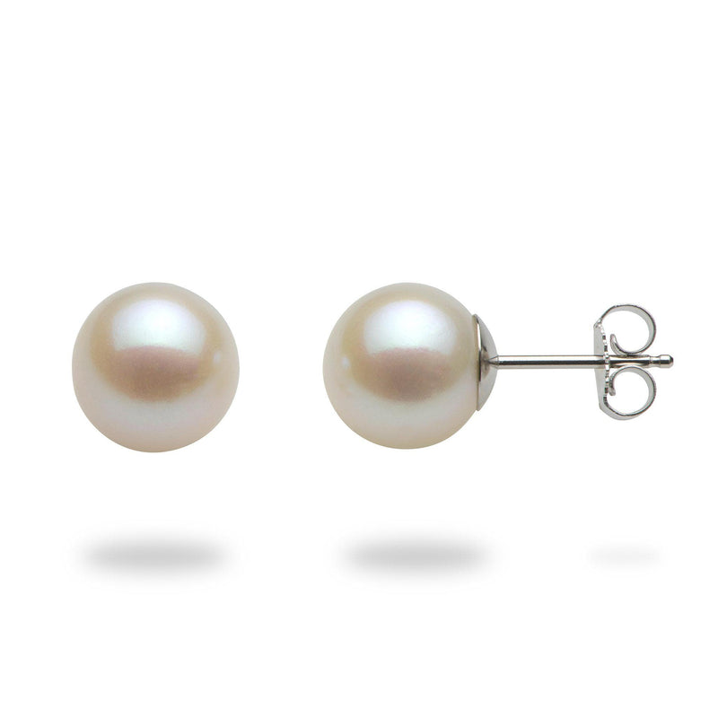White Freshwater Pearl Earrings in 14K White Gold-Maui Divers Jewelry