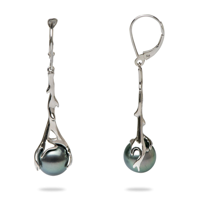 Hawaiian Heritage Tahitian Black Pearl Earrings in White Gold-Maui Divers Jewelry
