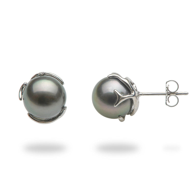 Tahitian Black Pearl (9-10mm) Earrings in 14K White Gold-Maui Divers Jewelry