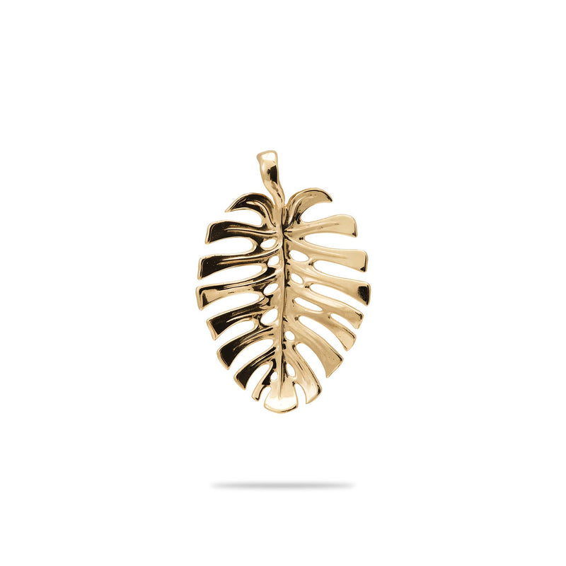 Monstera Pendant in Gold - 20mm - Maui Divers Jewelry