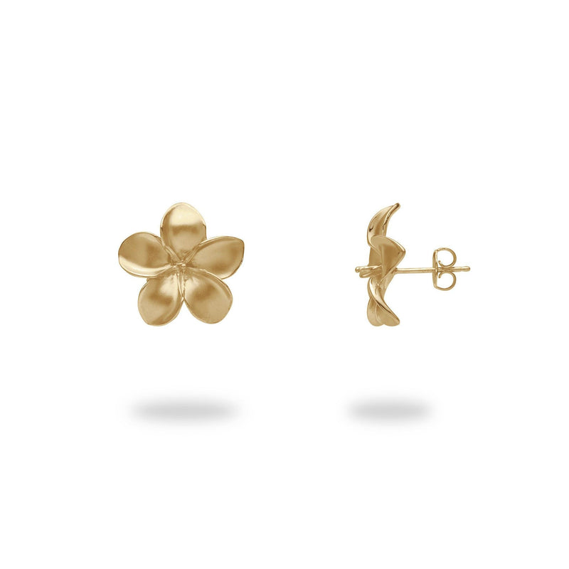 Pick A Pearl Plumeria Earrings in Gold - 13mm - Maui Divers Jewelry
