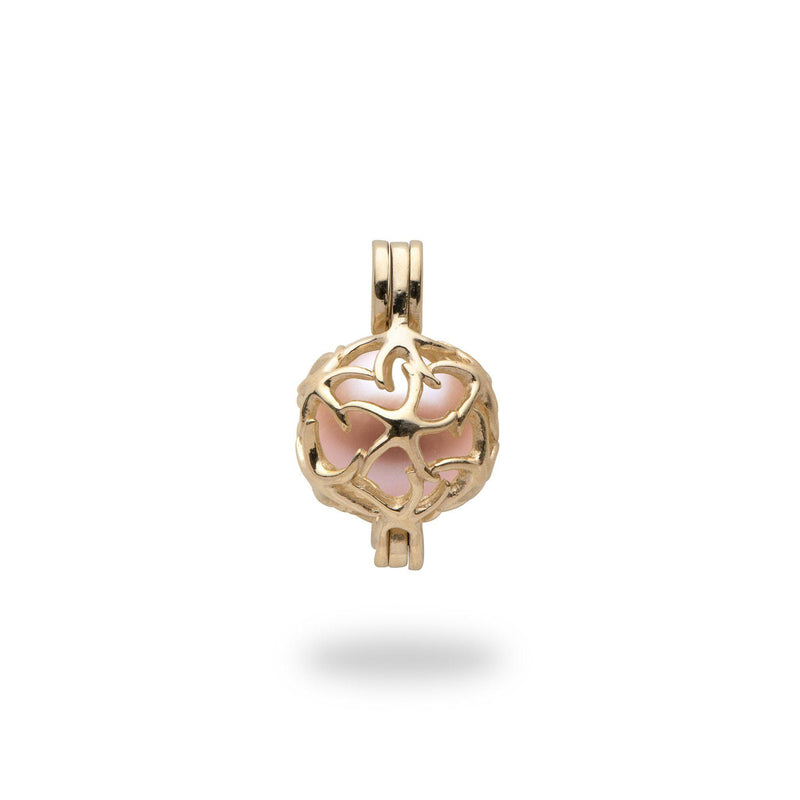 Starfish Cage Mounting in 14K Yellow Gold-[SKU]